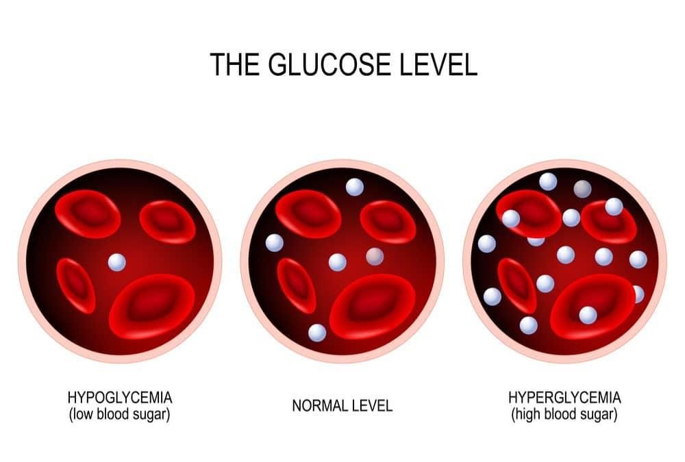 Blood Sugar/Glucose Levels