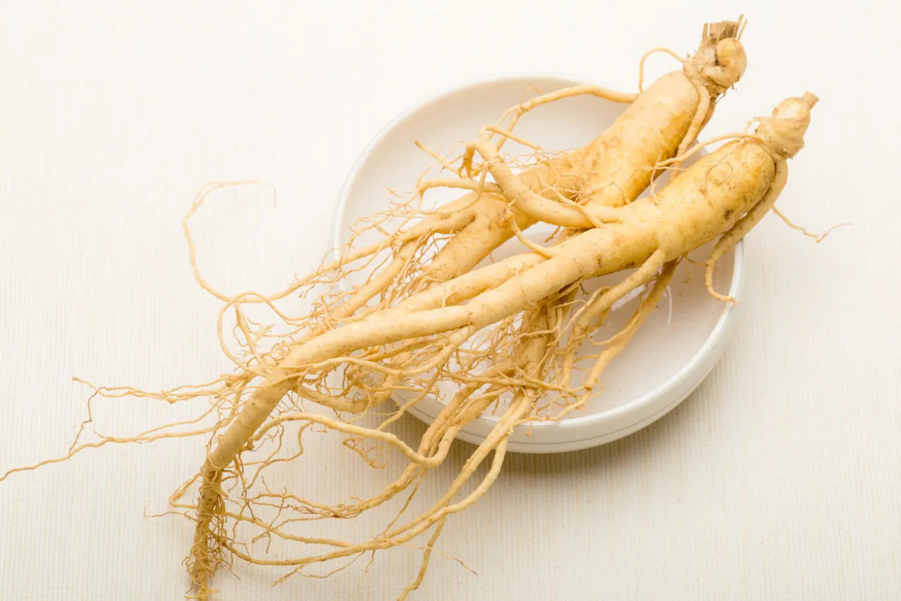 Ginseng Benefits