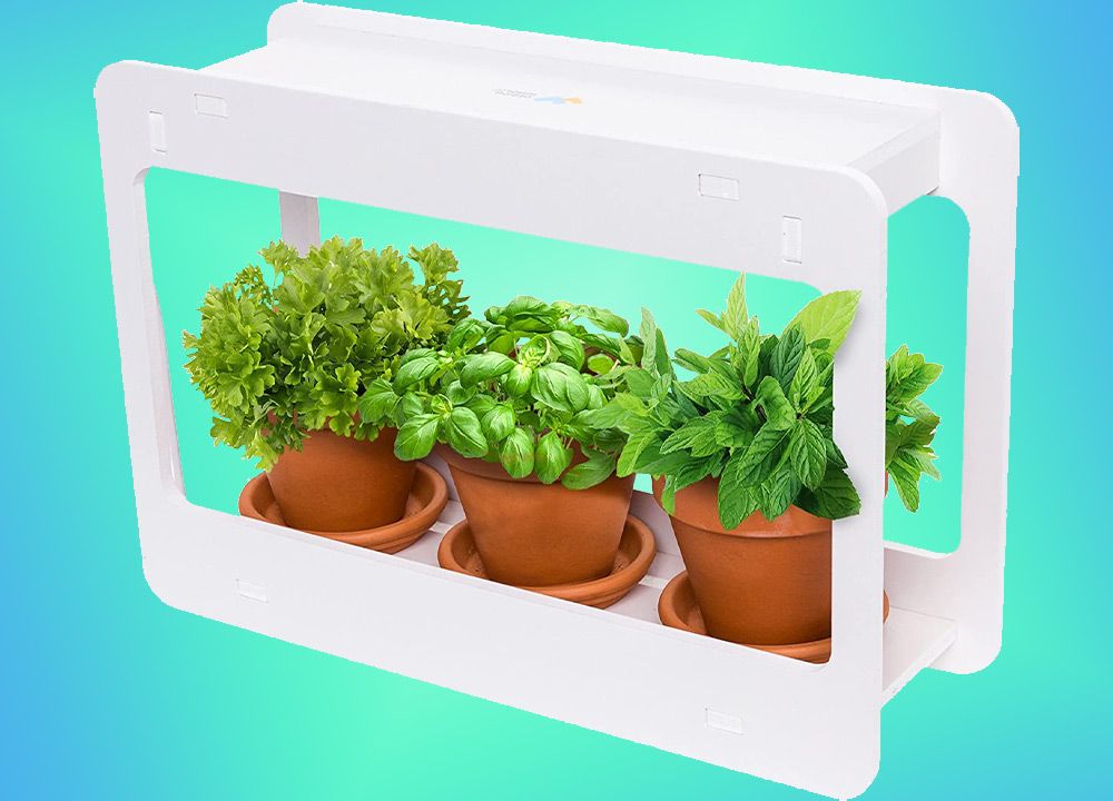 Indoor Herb Garden Kit