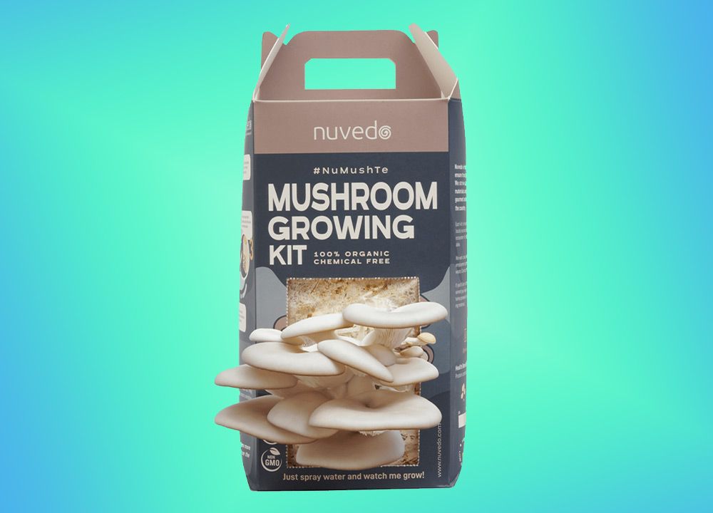 Mushroom Grooming Kit