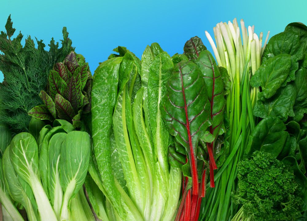 Green Leafy Vegetables